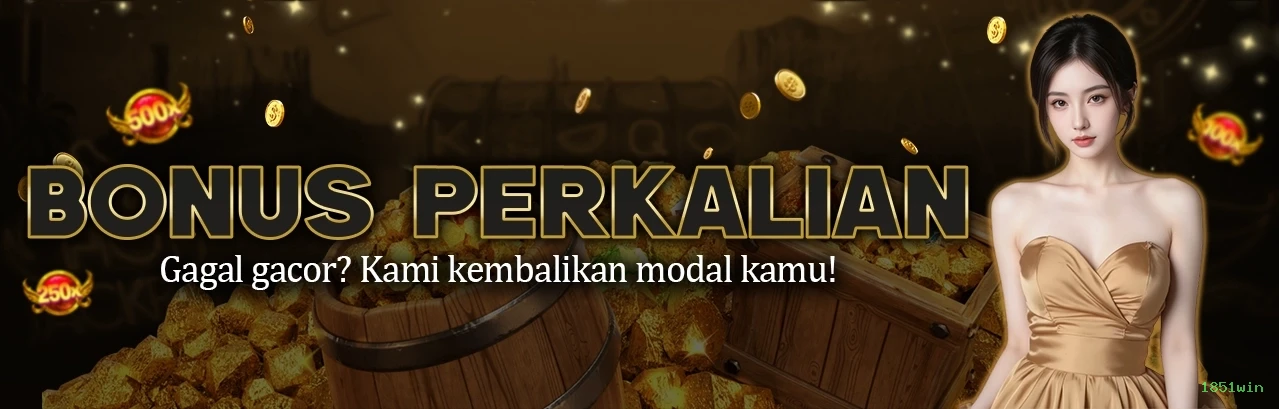Aviator Social Experience